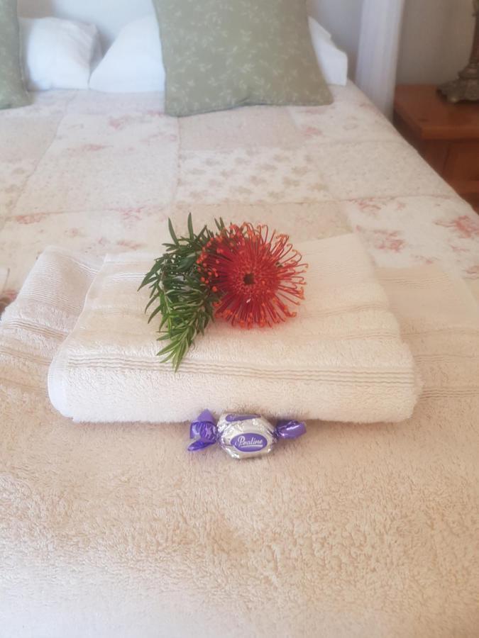 Papillon Guest Suite Simonʼs Town エクステリア 写真